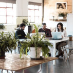 Creative team sitting together, using laptops in modern co-working with potted plant. Business colleagues in casual working together in contemporary office space. Team workplace concept