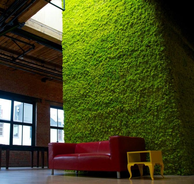 Moss wall in an entranceway for a company or business