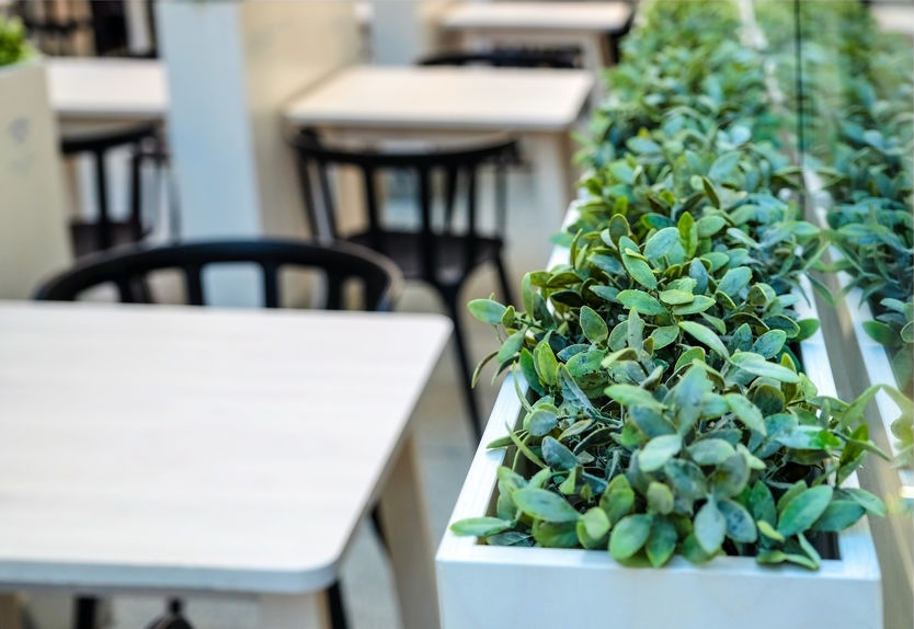 Fresh green plants in vases. Hanging vines. Artificial greenery on the background of the cafe. Decorative landscaping.