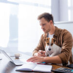 concentrated businessman using laptop while working with jack russell terrier dog in office