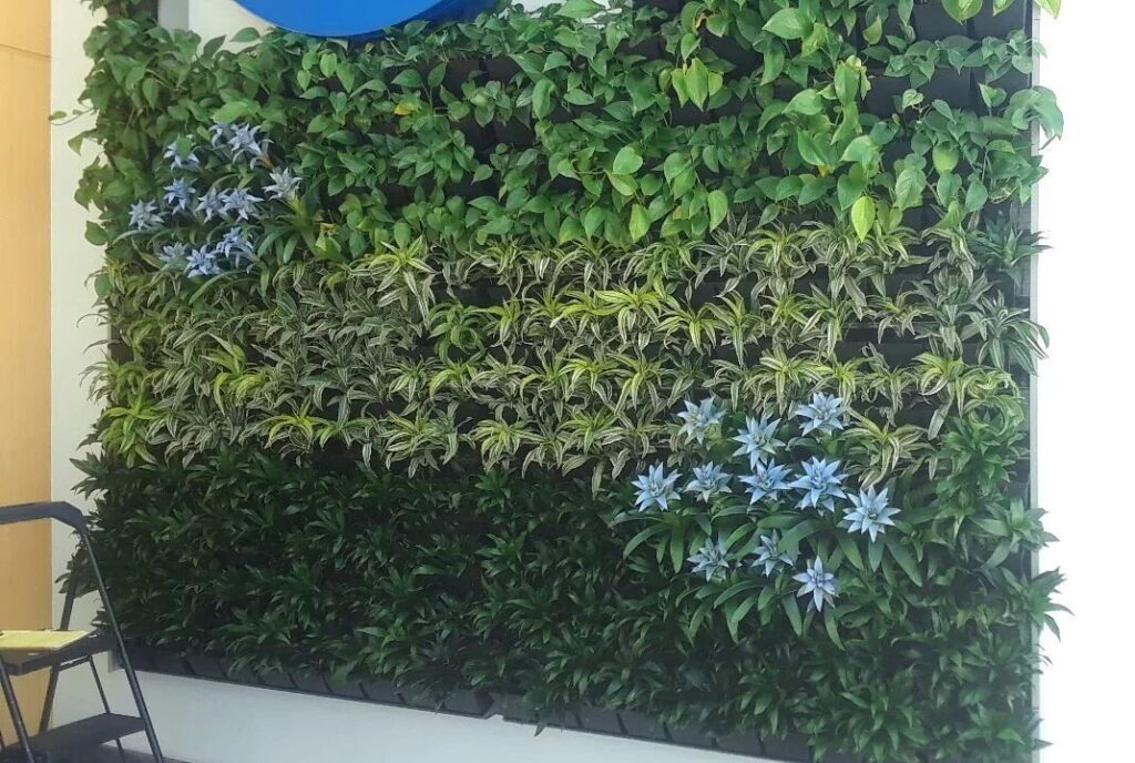 Greenwall installed in the office