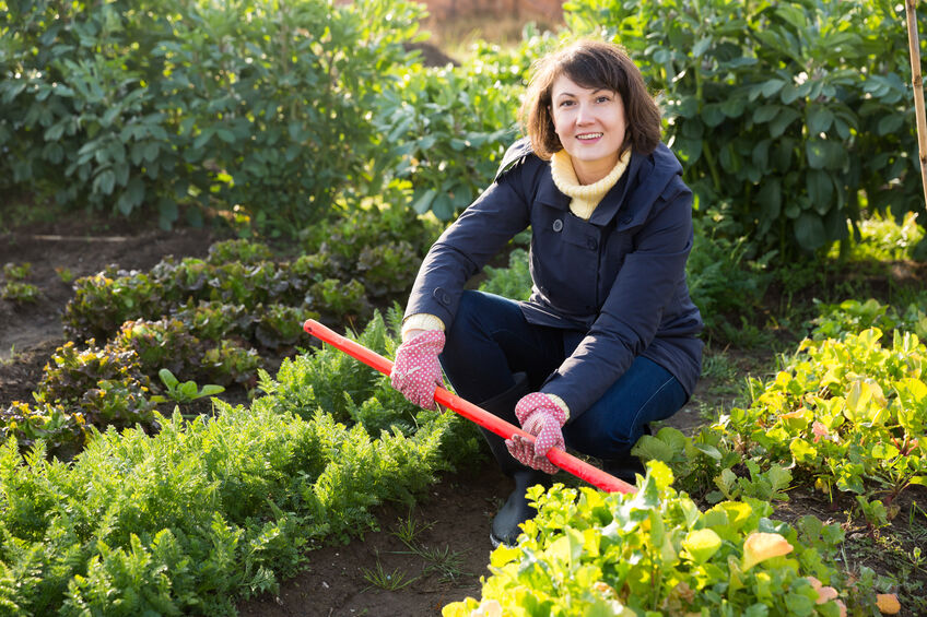 Young woman using a chopper treats the beds