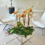 Colorful flowers on a table in an office