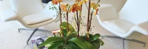 Colorful flowers on a table in an office