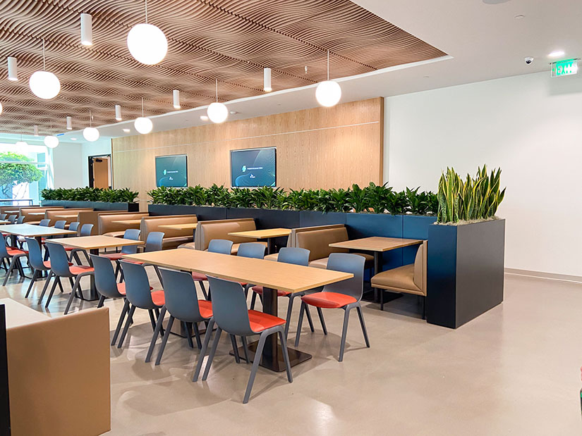 Modern cafeteria with wooden ceiling, tables, and chairs. Booth seating and plants line the back wall under hanging lights.